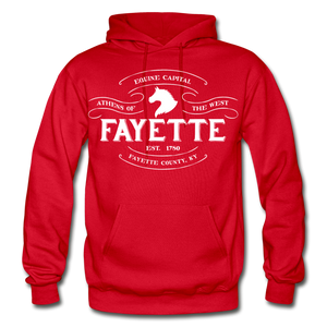 Fayette County Vintage Banner Hoodie - red