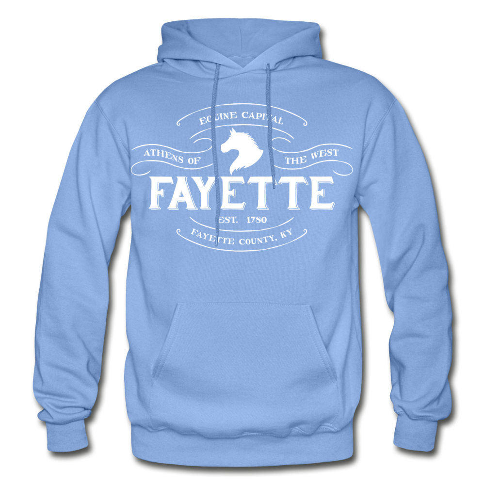 Fayette County Vintage Banner Hoodie - carolina blue