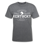 Kentucky Vintage Banner T-Shirt - mineral charcoal gray