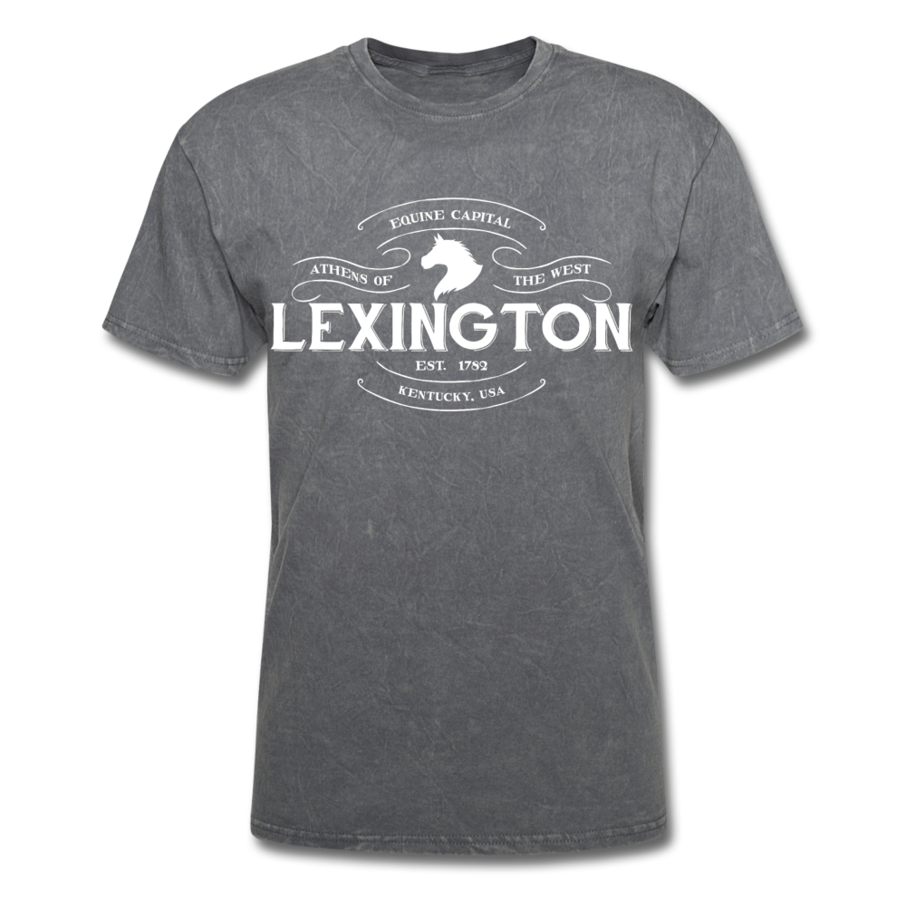 Lexington Vintage Banner T-Shirt - mineral charcoal gray