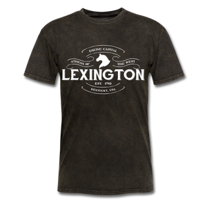 Lexington Vintage Banner T-Shirt - mineral black